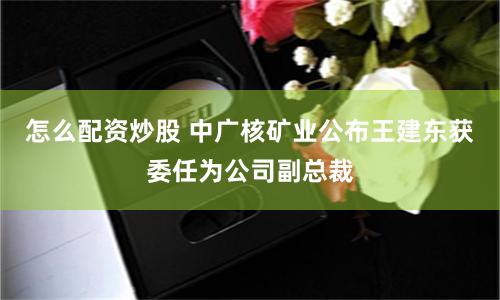 怎么配资炒股 中广核矿业公布王建东获委任为公司副总裁