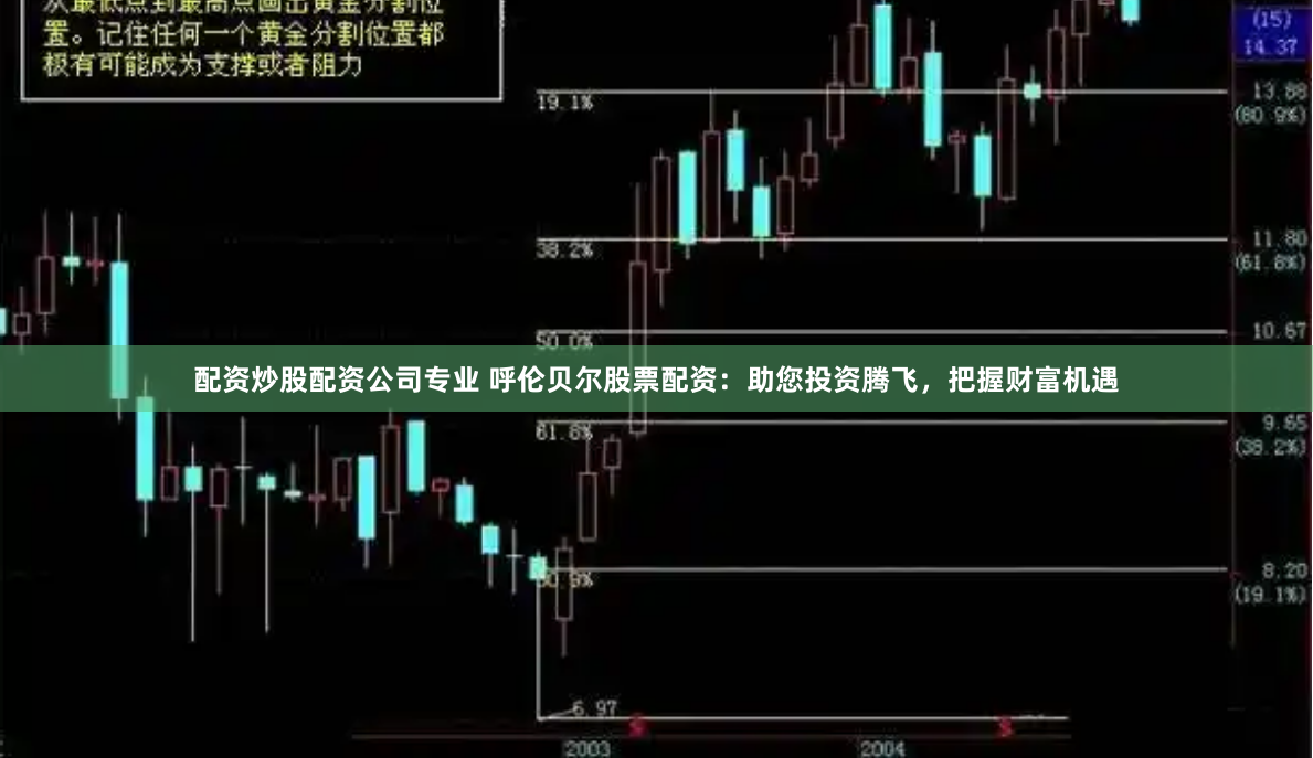 配资炒股配资公司专业 呼伦贝尔股票配资：助您投资腾飞，把握财富机遇